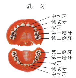 640 (13).png