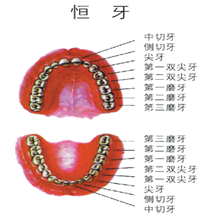 640 (14).png