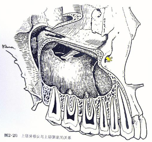 640 (9).png