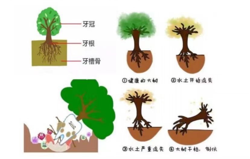 b14cfc45570c23685e01ae146d737489.png