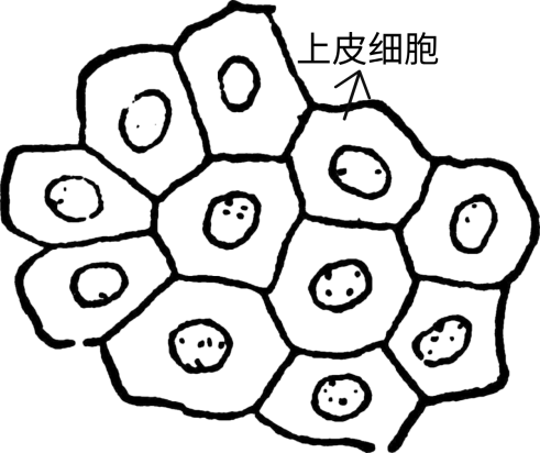 032623269164fb3b4e195101d67b1415.png