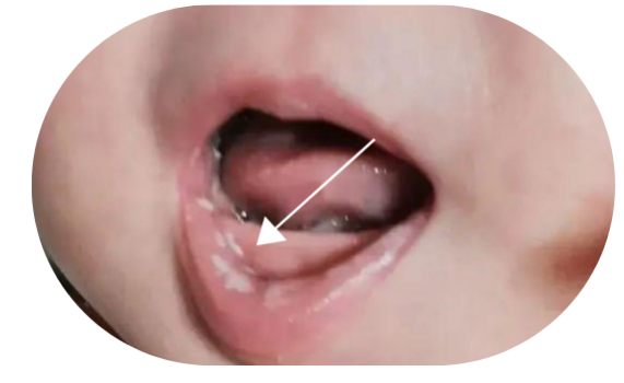 7404ecfb1551e7d0ddbb99df2578a1c5.png