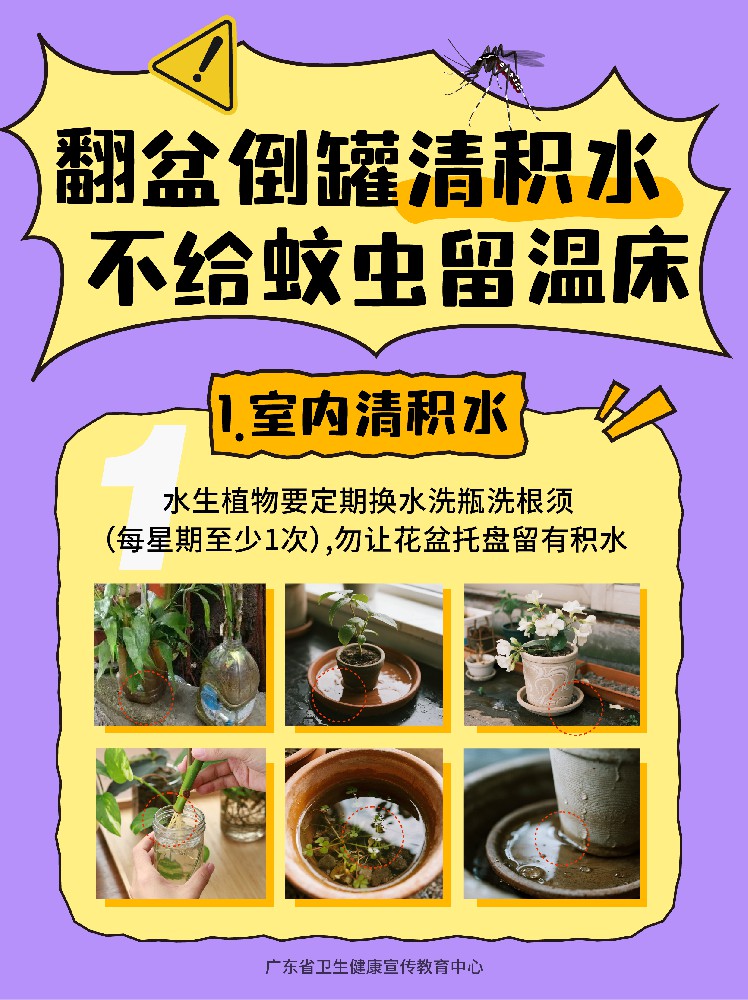 翻盆倒罐清积水，不给蚊虫留温床