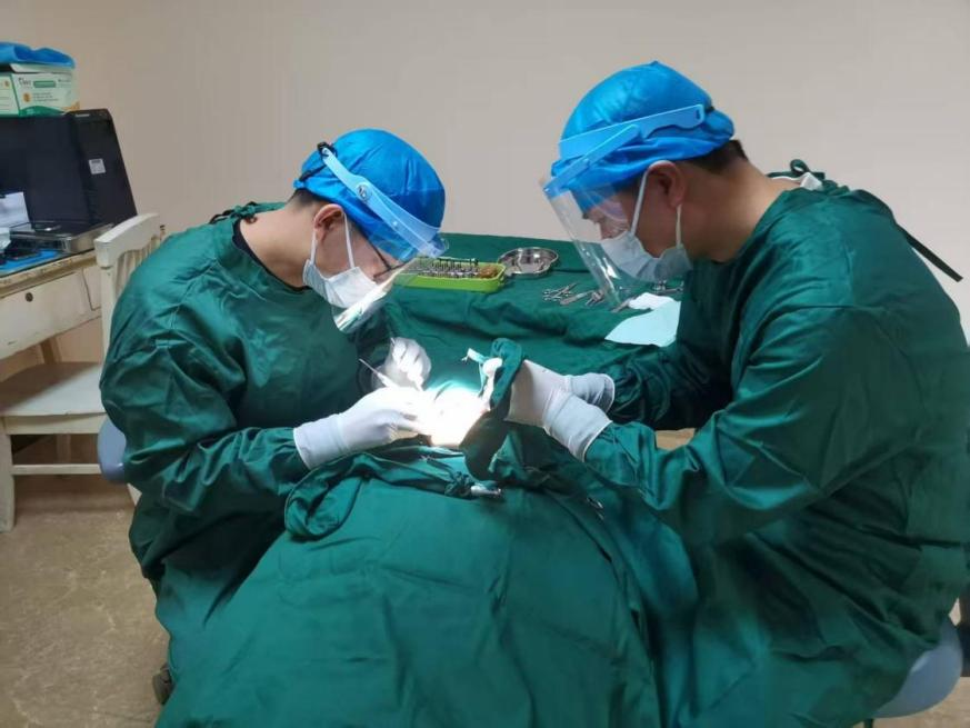 1765241447919635.png 7fd1d2aecce461772cd2b8c32befd243.png